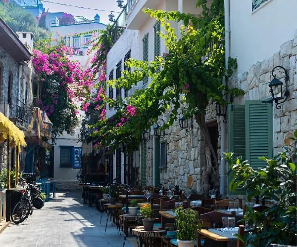 מלון Rain And Food 3*