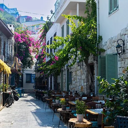 酒店 Rain And Food 3*